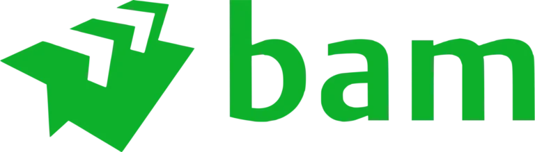 Bam logo